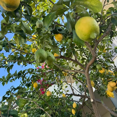 Napitia Hills Apartment *